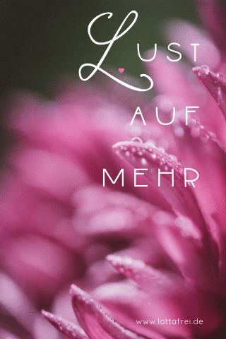 Lotta Frei Swinger Blog. Lust auf mehr. Rosa Blüte im Licht.